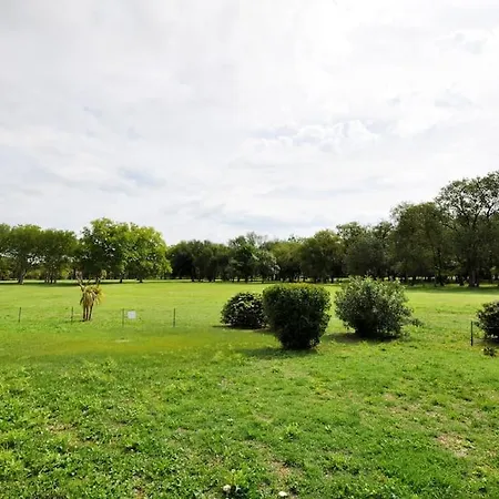 Standing Avec Piscine, Vue Sur Golf Saint-Cyprien (Pyrenees-Orientales)